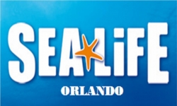 Sea Life - Orlando