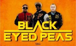Black Eyed Peas - Lecce