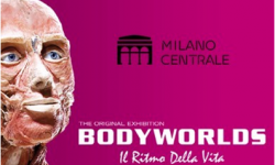 Body Worlds - Milano
