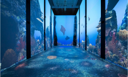 Museo Oceanografico - Monaco
