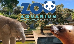 Zoo Aquarium - Madrid