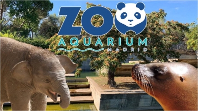 Zoo Aquarium - Madrid