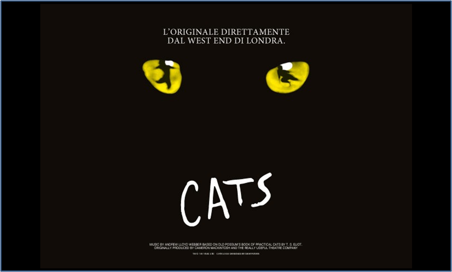 Cats - Milano