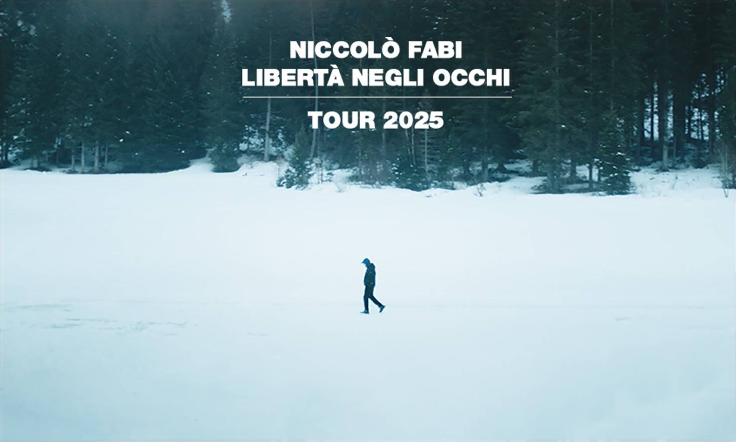 Niccolò Fabi - MI