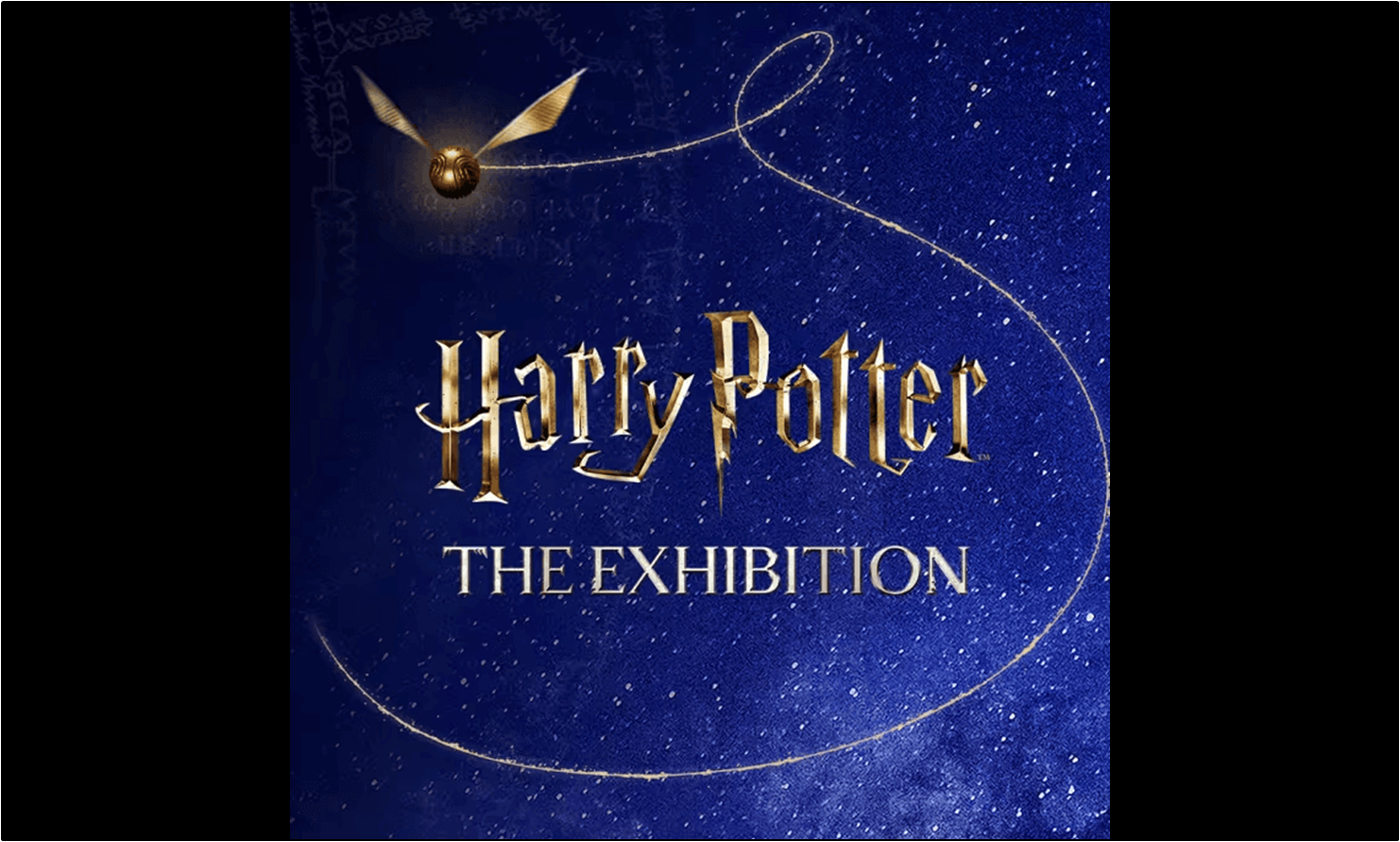Harry Potter: The Exhibition - WEEKEND - Milano