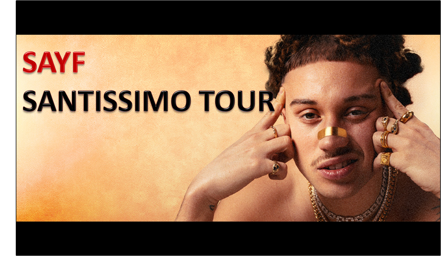 SAYF - Venaria Reale