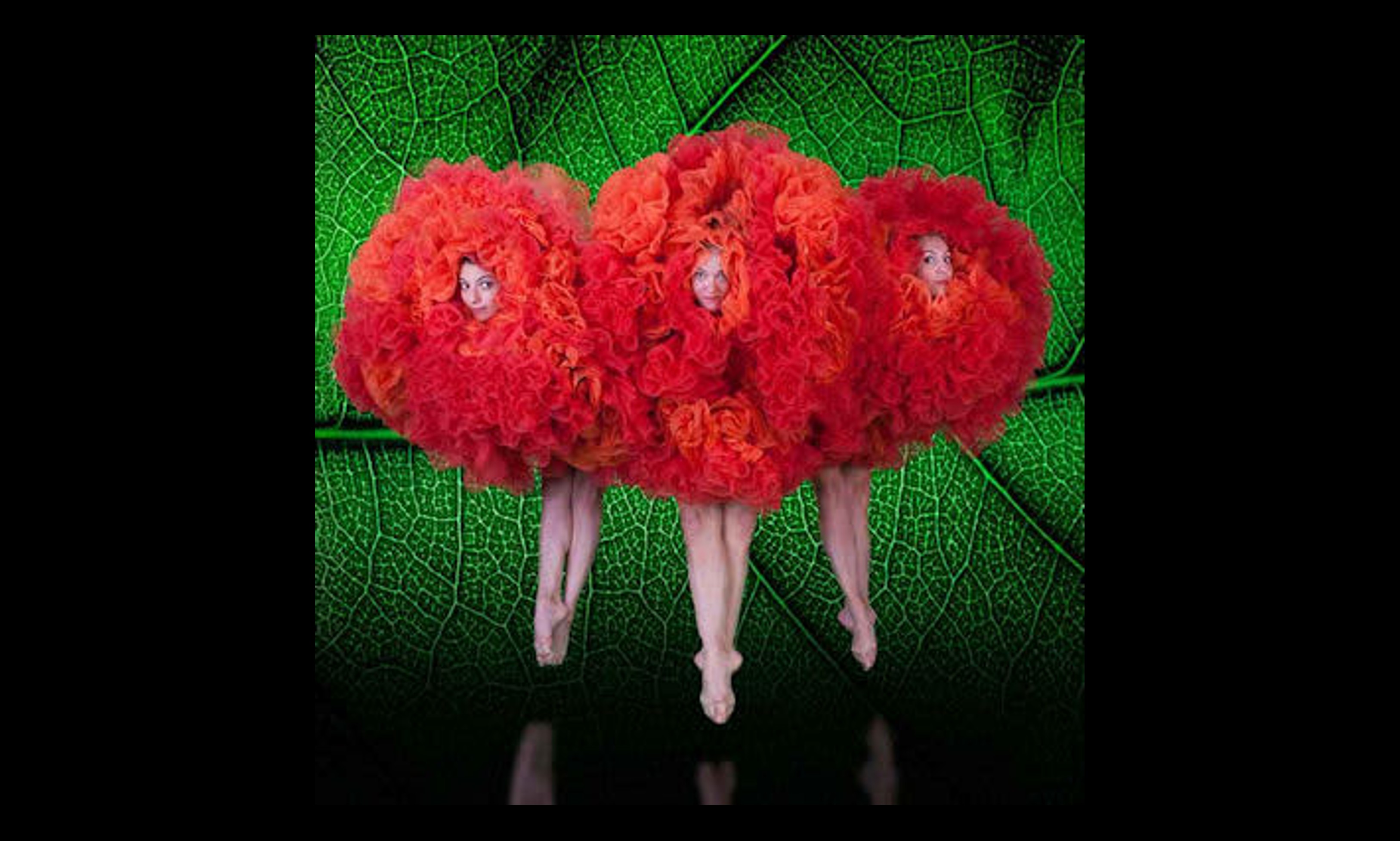 MOMIX - BOTANICA SEASON 2 - Forlì