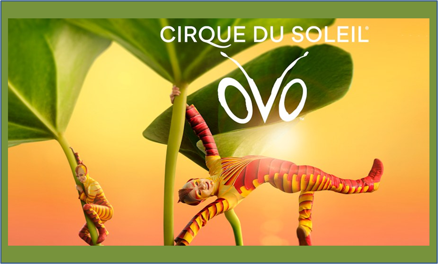 OVO - Cirque du Soleil - Bergamo OVO - Cirque du Soleil - Bergamo