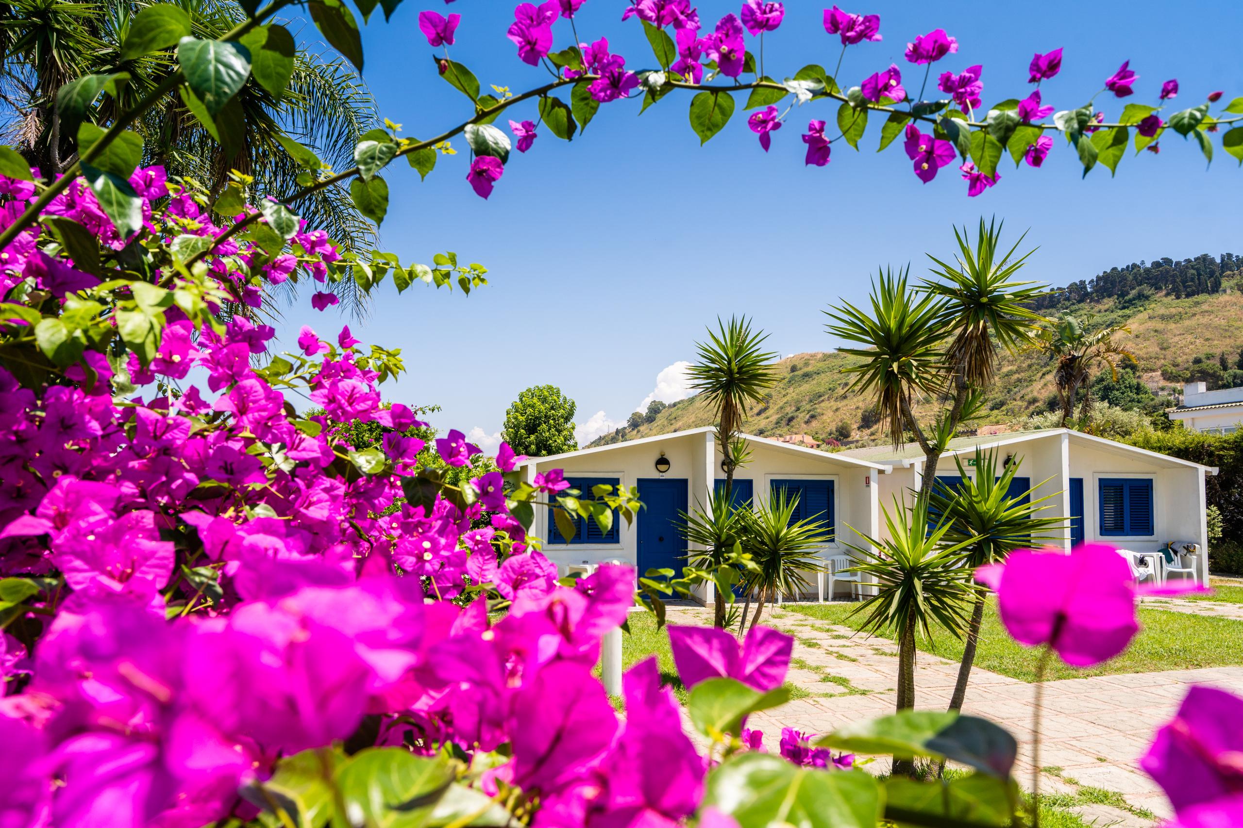 NICOLAUS CLUB LE DUNE BEACH [NC]