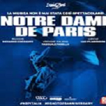 Notre Dame de Paris Tour 26 Vert