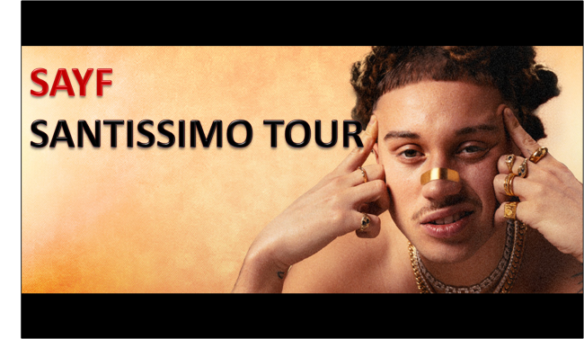 SAYF - Venaria Reale