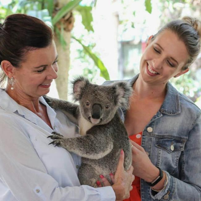 Immagine cover di Lone Pine Koala Sanctuary: Biglietto d'ingresso