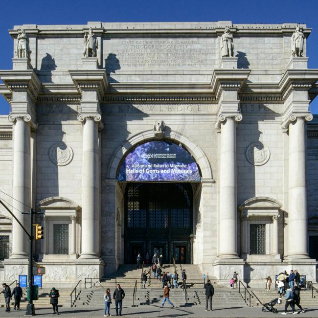 Immagine cover di American Museum of Natural History (AMNH): Biglietto Plus One