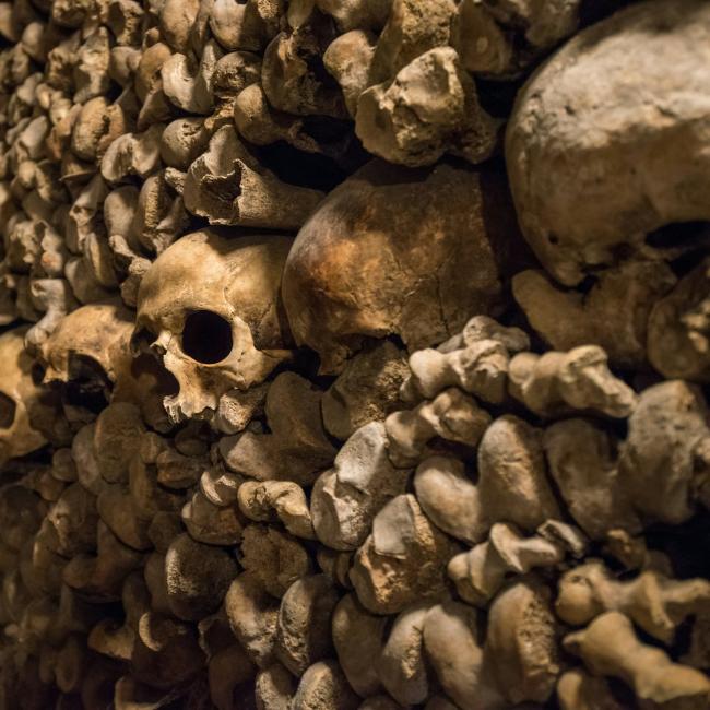 Immagine cover di Catacombe di Parigi: Biglietto d'ingresso + audioguida