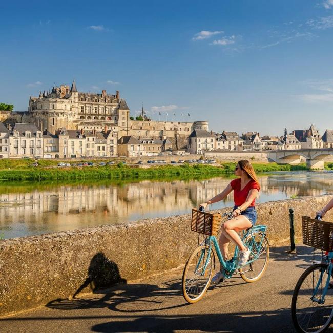 Immagine cover di Castello di Amboise: Biglietto salta-coda
