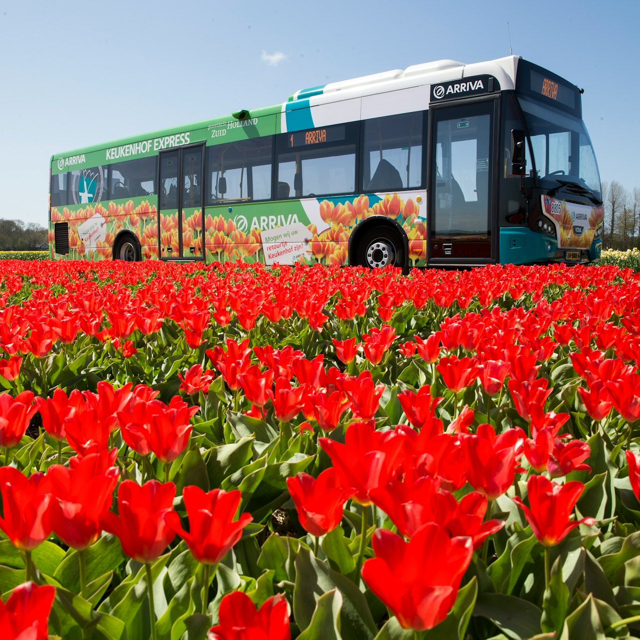 Immagine cover di Amsterdam: Biglietto di viaggio città e regione