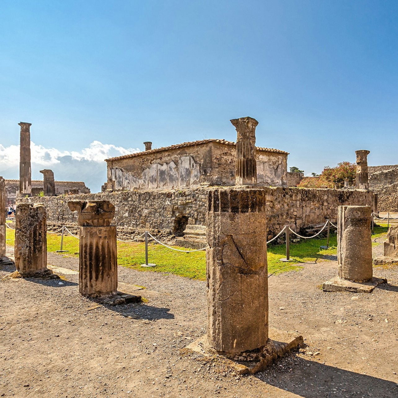 Immagine cover di Pompei Plus: Ingresso riservato