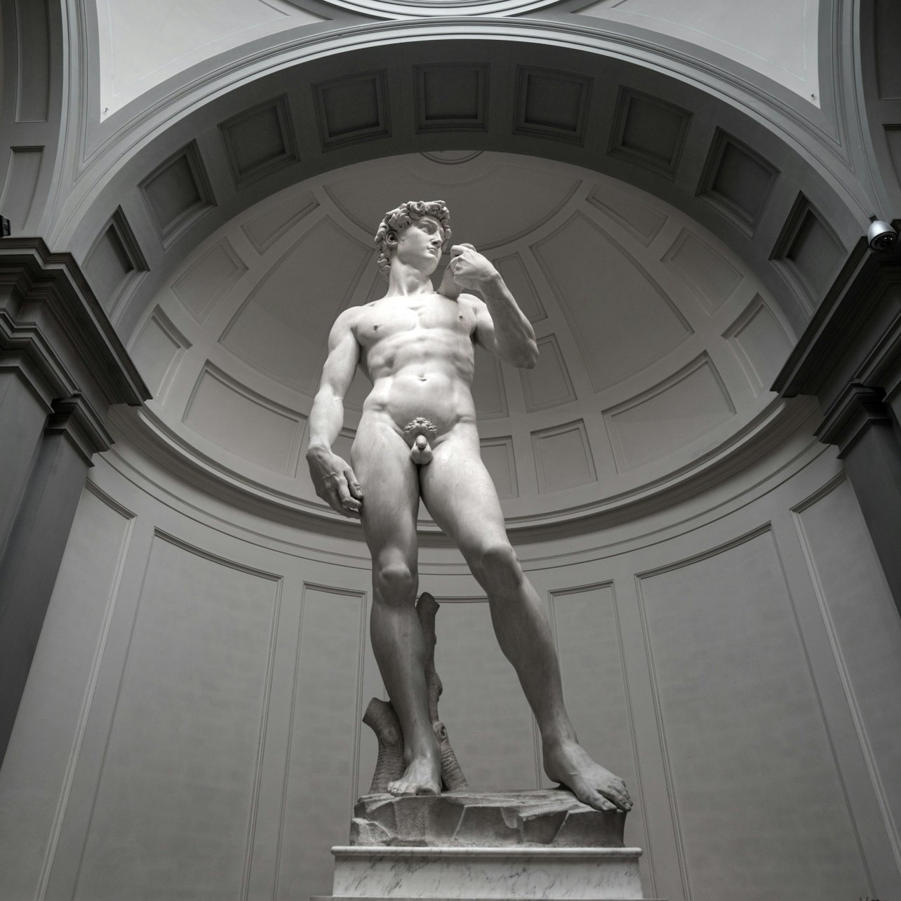 Immagine cover di Galleria dell&#039;Accademia: Ingresso prioritario