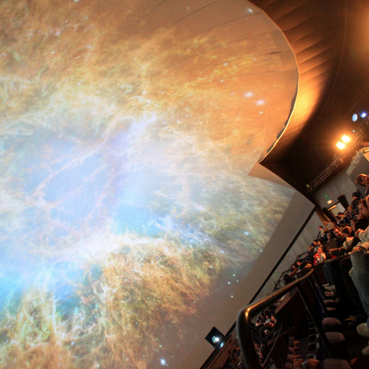 Immagine cover di Oceanogràfic, Museo della Scienza e Hemisfèric: Biglietto d&#039;ingresso