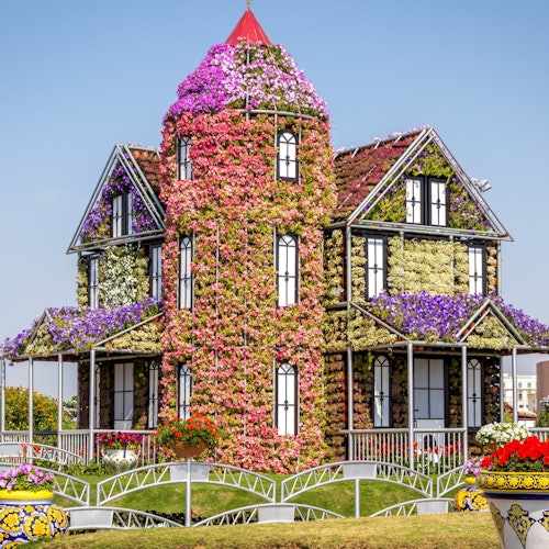 Immagine principale di Dubai Miracle Garden: Biglietto d'ingresso