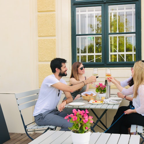 Immagine principale di Castello di Schönbrunn: Biglietto salta-coda + Pranzo