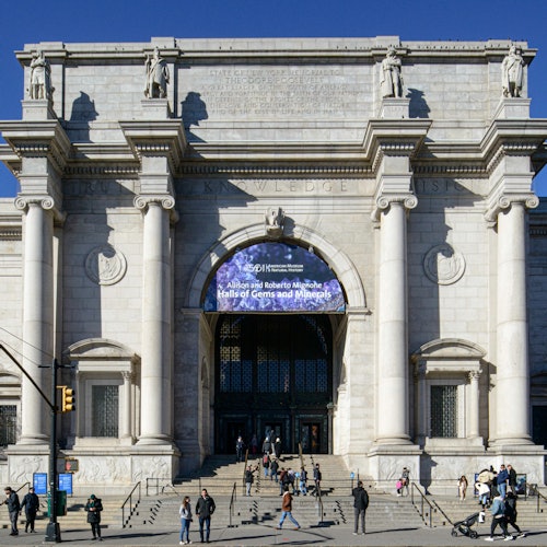 Immagine principale di American Museum of Natural History (AMNH): Biglietto Plus One