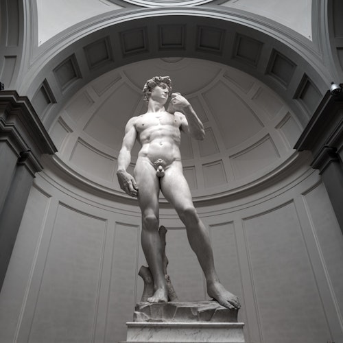 Immagine principale di Galleria dell&#039;Accademia: Ingresso prioritario
