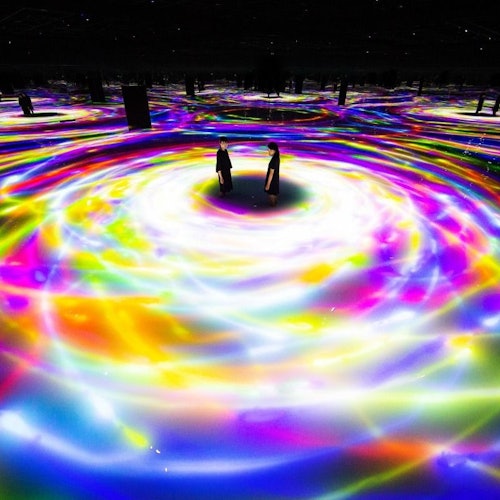 Immagine principale di teamLab Pianeti Tokyo: Premium Pass