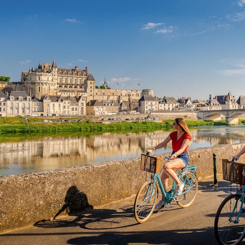 Immagine principale di Castello di Amboise: Biglietto salta-coda
