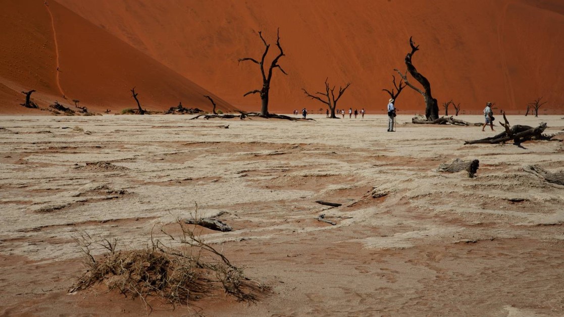 NAMIBIA - TRA DUE DESERTI