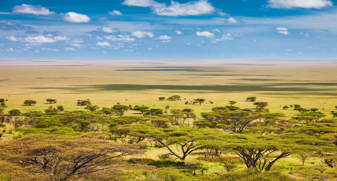 TANZANIA - LA GRANDE MIGRAZIONE