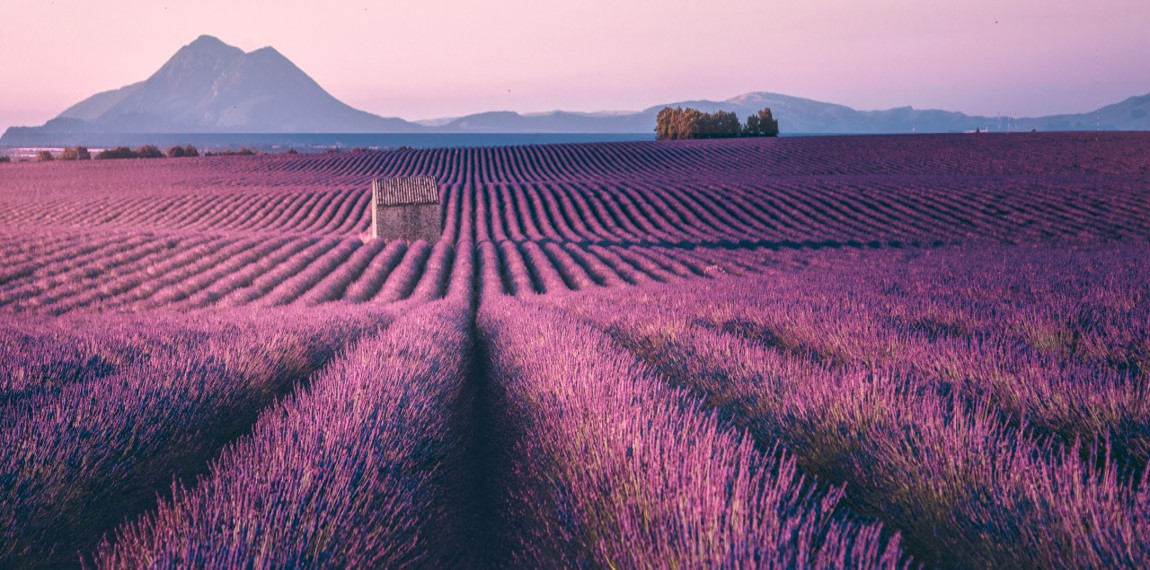 TOUR INDIVIDUALE IN PROVENZA IN AUTO