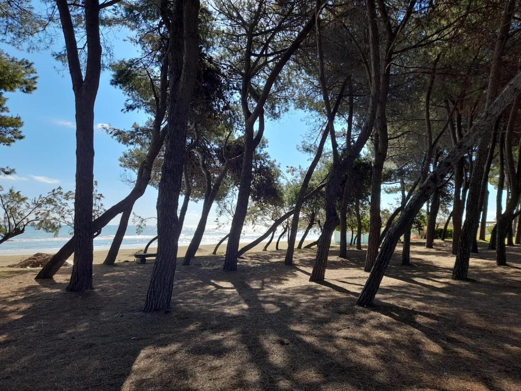IL GARUSOLO - PINETO