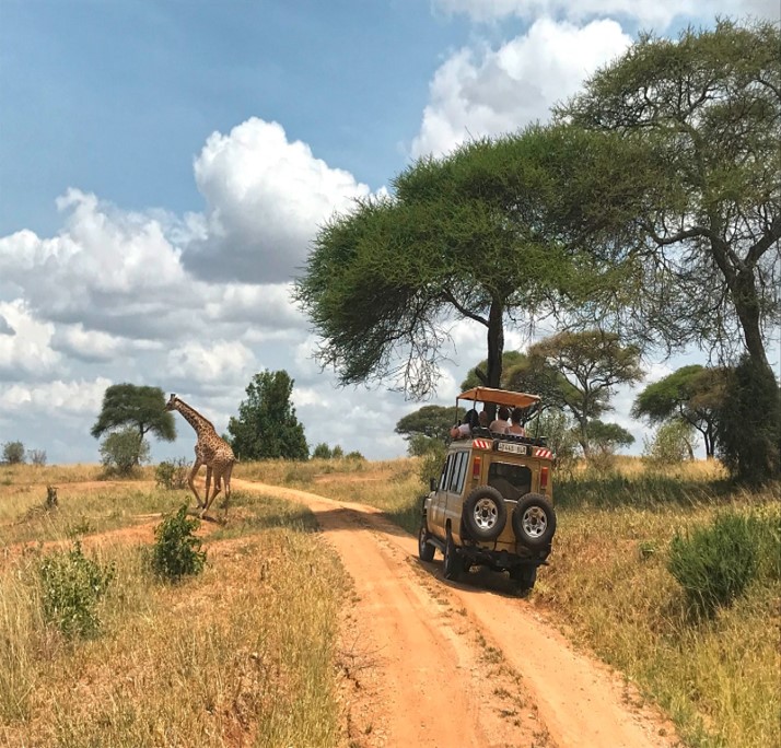 TANZANIA - LA GRANDE MIGRAZIONE