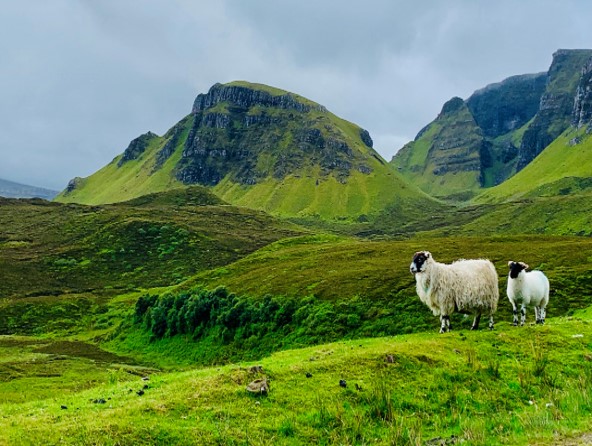 SCOZIA - PANORAMI E CASTELLI DELLE HIGHLANDS