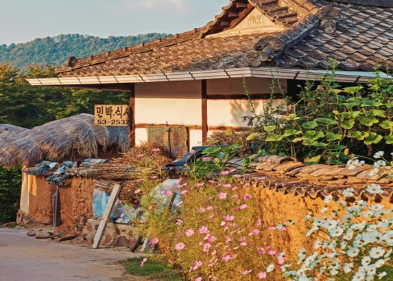 COREA DEL SUD - TERRA DI CONTRASTI