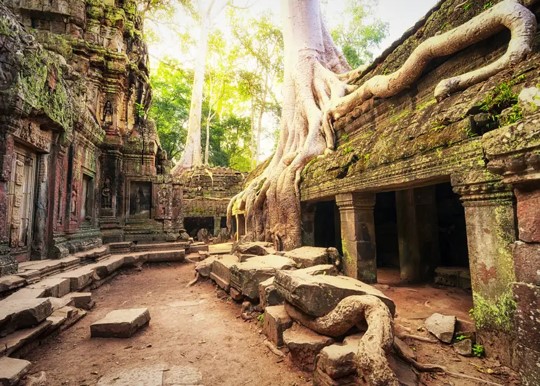 VIETNAM e CAMBOGIA - PERLE INDOCINESI