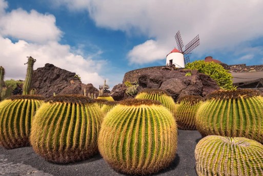 CROCIERA ISOLE CANARIE & MAROCCO