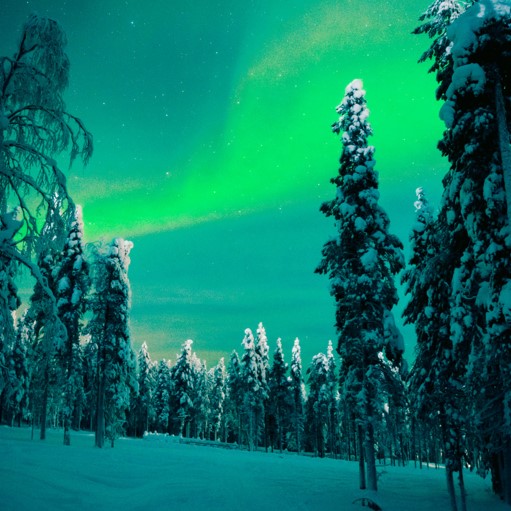 NORVEGIA: MAGIA DELLE ISOLE LOFOTEN
